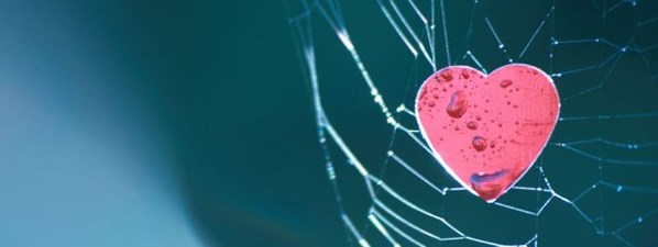 Как убрать зависимость от любви, от человека (мужс_0.jpg